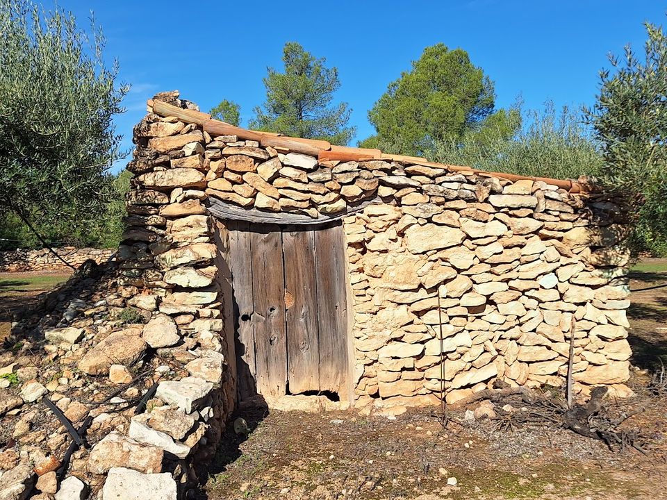 Finca i Tivissa, Tarragona - bilde 1